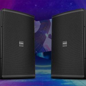 LOA PARAMAX V40 All New Loa toàn dải (Full-range) chuyên nghiệp